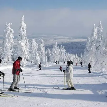 Horsky Arnica Loučná pod Klínovcem