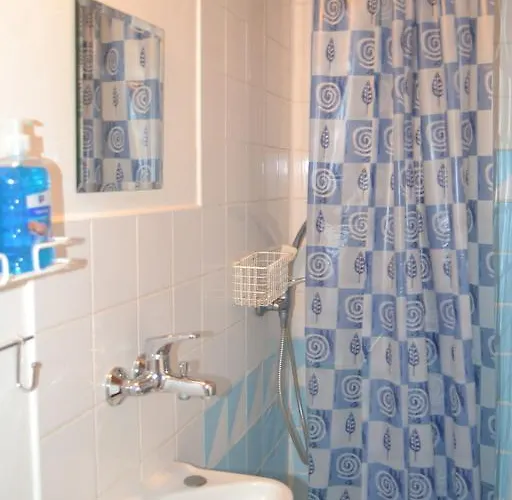 Horsky Arnica מלון