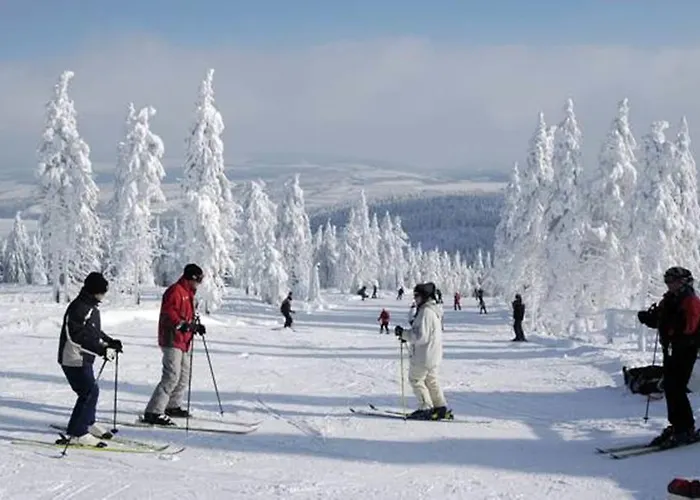 Horsky Arnica Loučná pod Klínovcem