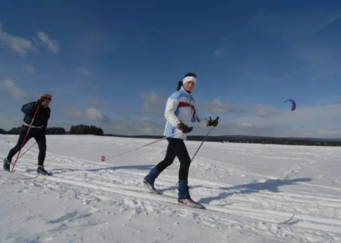 Horsky Arnica מלון