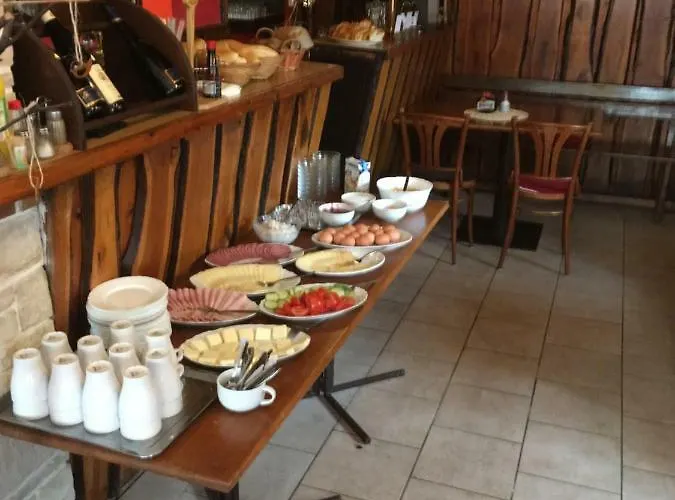 Horsky Arnica מלון *